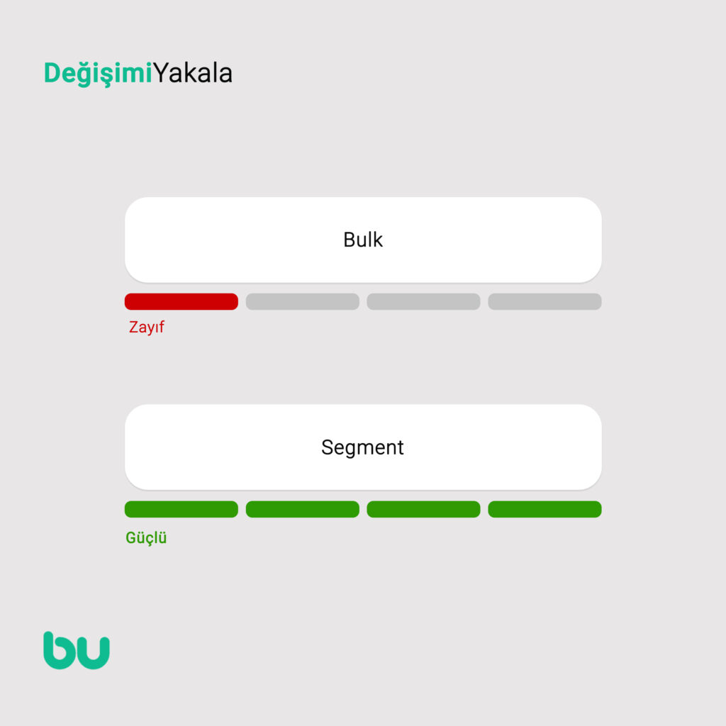 Bulk - Segment