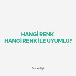 Hangi Renk Hangi Renk İle Uyumlu