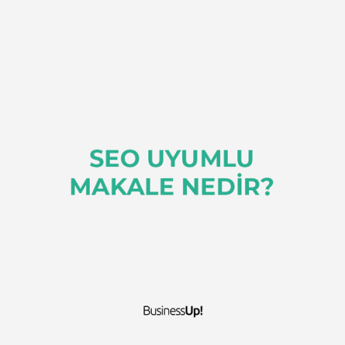 SEO Uyumlu Makale Nedir?