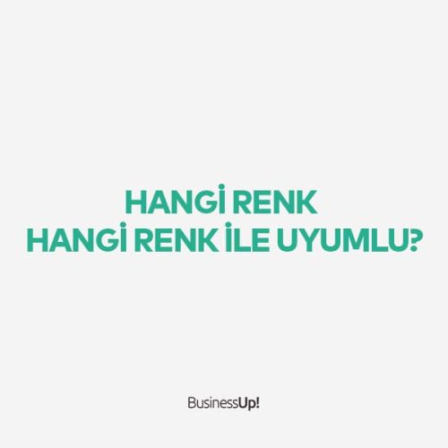 Hangi Renk Hangi Renkle Uyumludur?